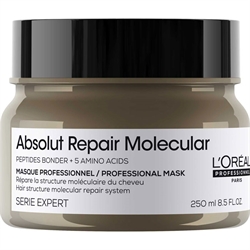 L'Oréal Pro Serie Expert Absolut Repair Molecular Rinse-Off Mask 250ml